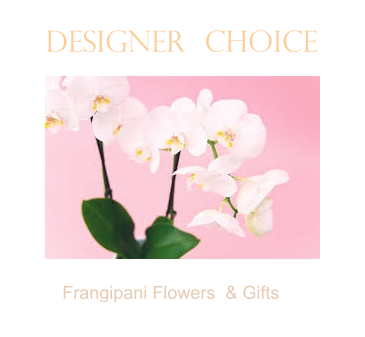 Designer's Choice Orchids and Plants from $60 → $160